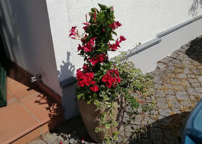 Stadt Апартаменты *